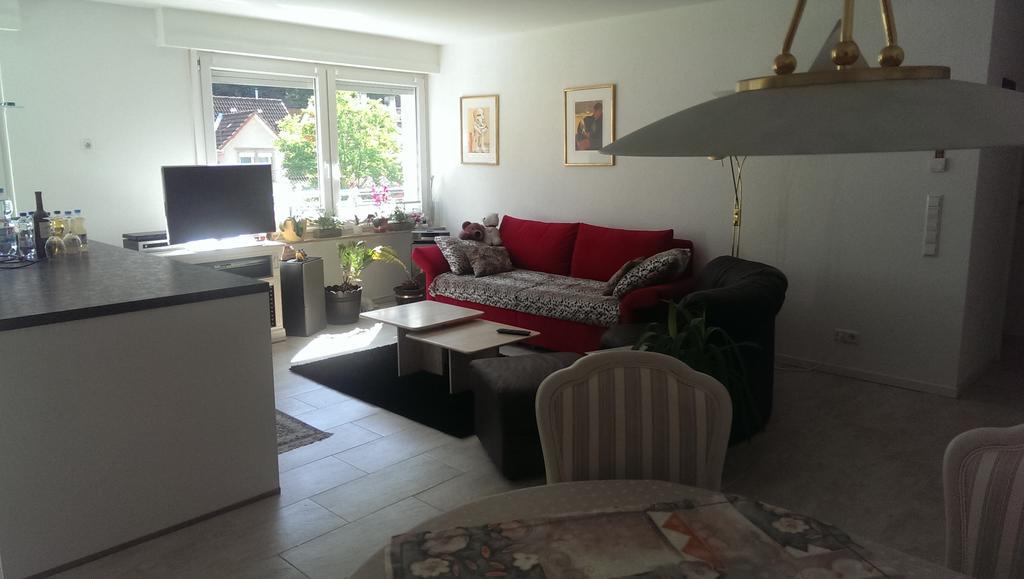 Apartmán Loft Nagoldtal Pforzheim Exteriér fotografie